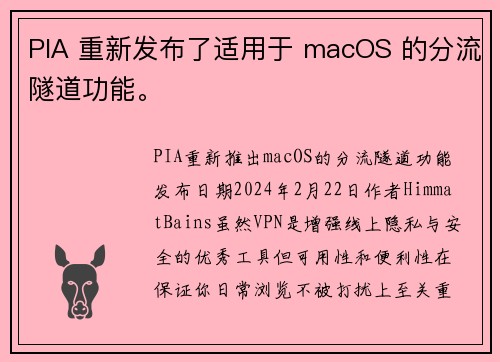 PIA 重新发布了适用于 macOS 的分流隧道功能。
