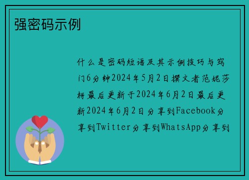 强密码示例 